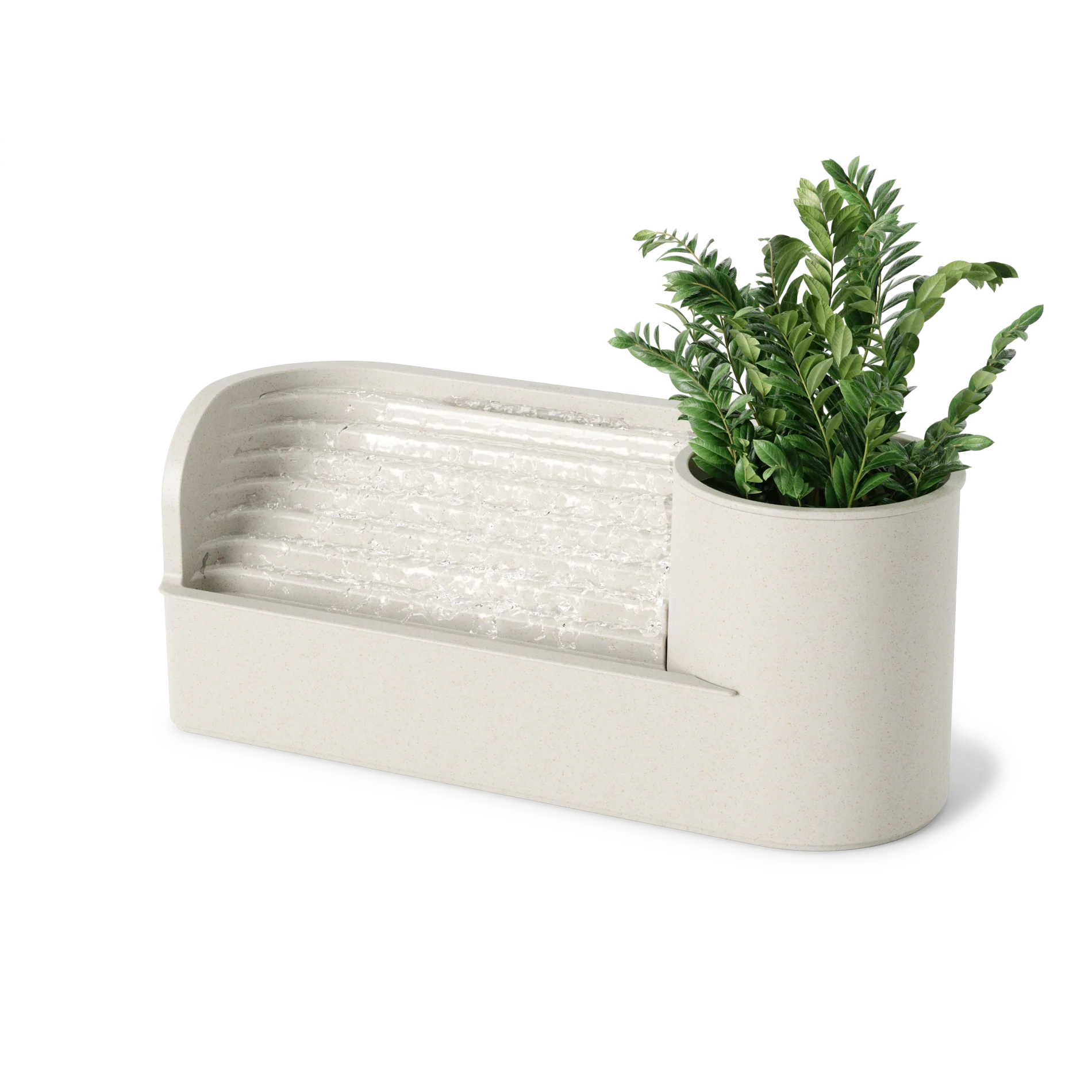 Our Top Wellness Must-Haves